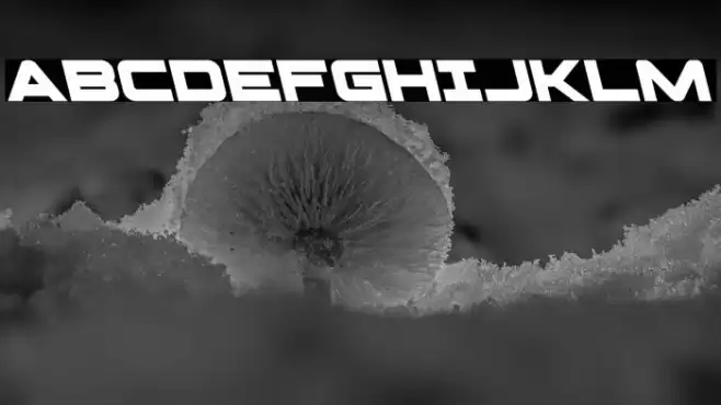 Pilot Command Leftalic Font examples