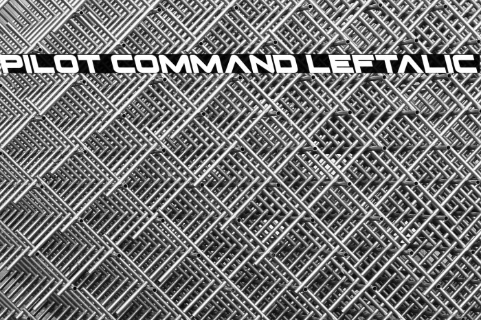 Pilot Command Leftalic Example 1