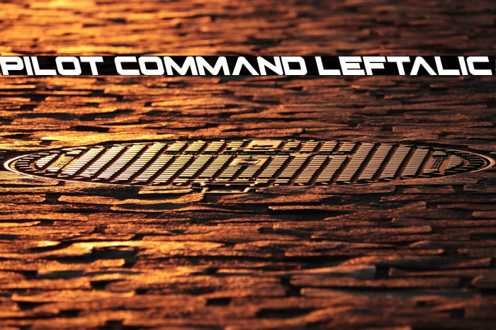 Pilot Command Leftalic Example 2