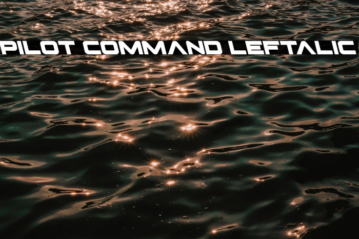 Pilot Command Leftalic Example 3