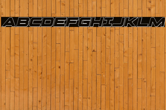 Pilot Command Outline Italic Example 2