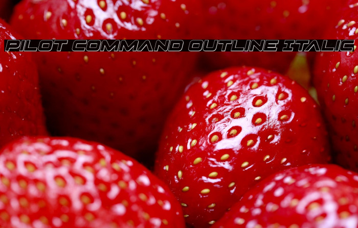 Pilot Command Outline Italic Example 3