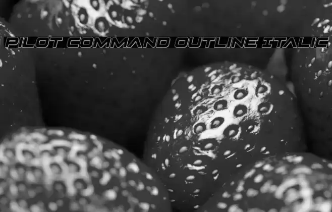 Pilot Command Outline Italic Font examples