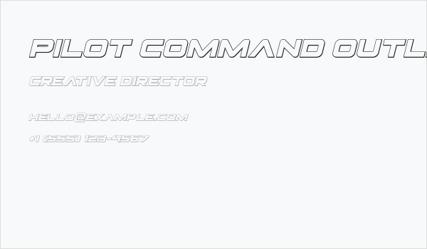 Pilot Command Outline Italic Business Card