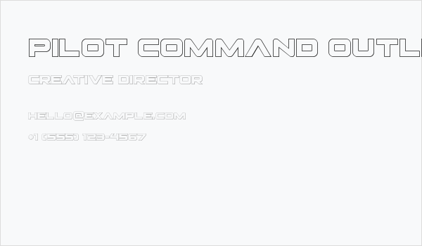 Pilot Command Outline Business Card