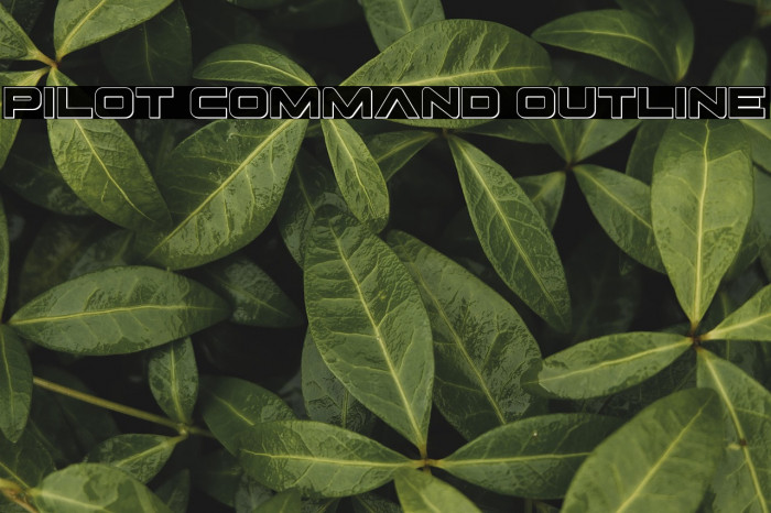 Pilot Command Outline Example 1