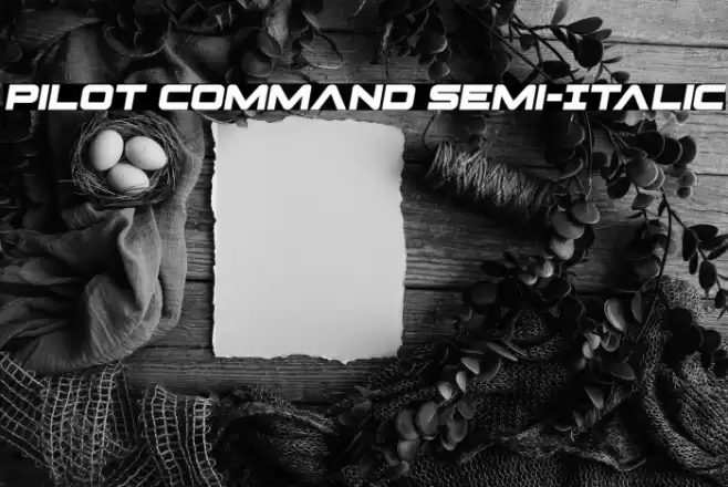 Pilot Command Semi-Italic Font examples