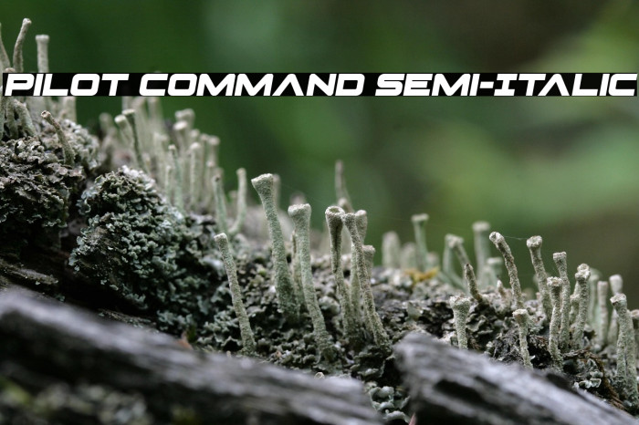 Pilot Command Semi-Italic Example 3