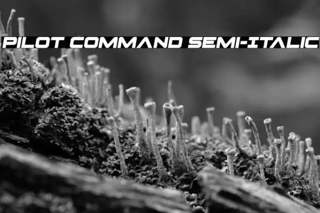 Pilot Command Semi-Italic Font examples