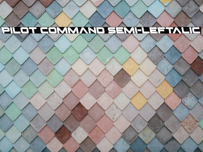 Pilot Command Semi-Leftalic Example 1