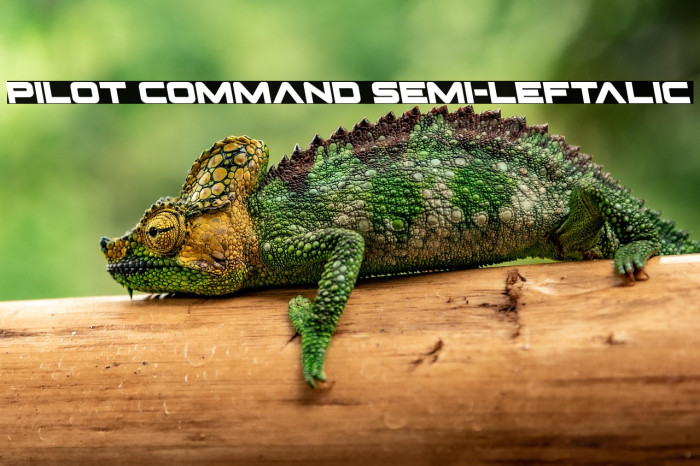 Pilot Command Semi-Leftalic Example 2