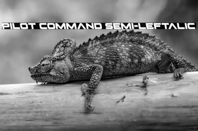 Pilot Command Semi-Leftalic Font examples