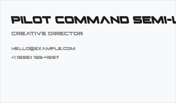 Pilot Command Semi-Leftalic Business Card