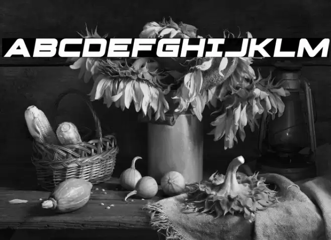 Pilot Command Spaced Semi-Ital Font examples