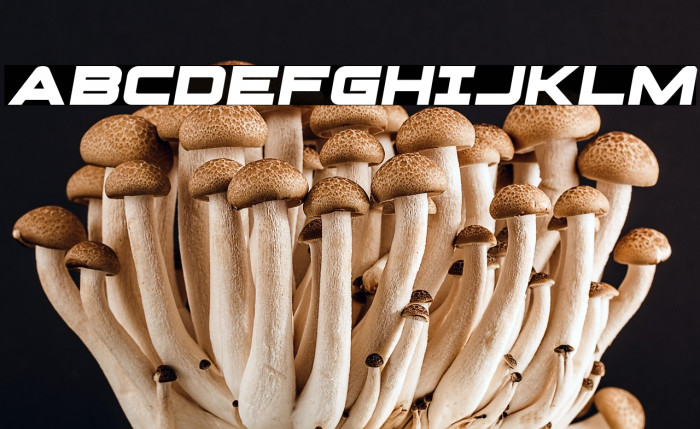 Pilot Command Spaced Semi-Ital Example 3