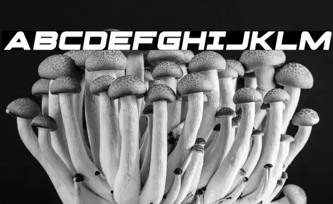 Pilot Command Spaced Semi-Ital Font examples