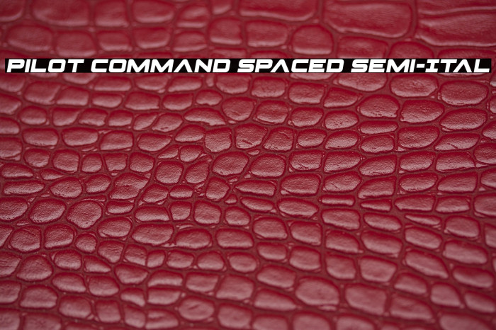 Pilot Command Spaced Semi-Ital Example 2