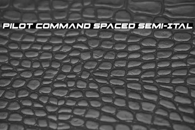 Pilot Command Spaced Semi-Ital Font examples