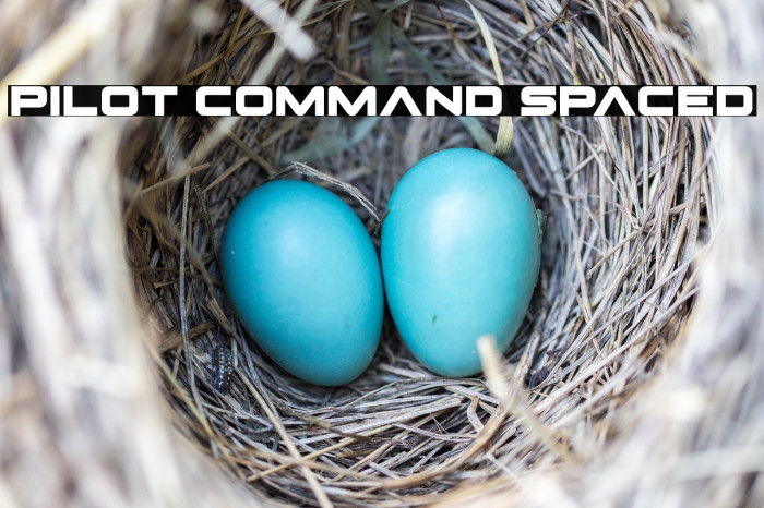 Pilot Command Spaced Example 3