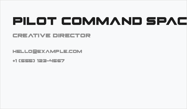 Pilot Command Spaced Business Card