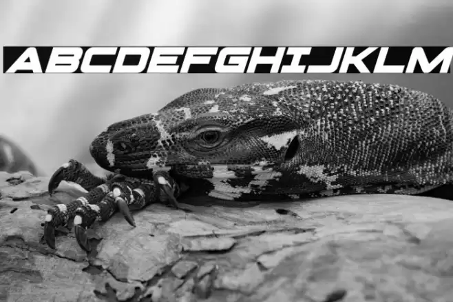 Pilot Command Super-Italic Font examples