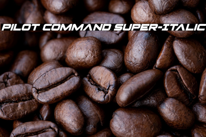 Pilot Command Super-Italic Example 2