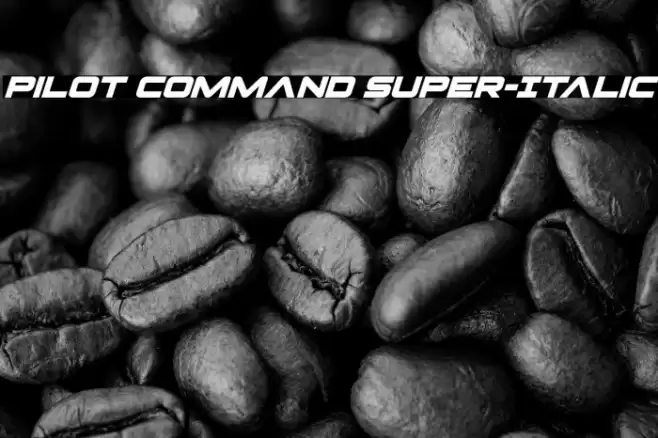 Pilot Command Super-Italic Font examples