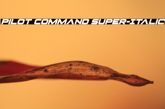 Pilot Command Super-Italic Example 3