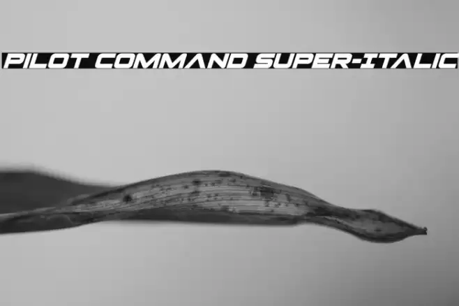 Pilot Command Super-Italic Font examples