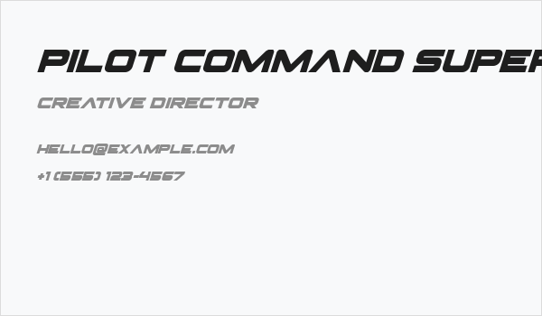 Pilot Command Super-Italic Business Card