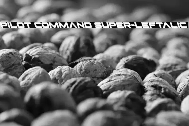 Pilot Command Super-Leftalic Font examples