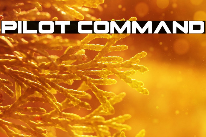 Pilot Command Example 1