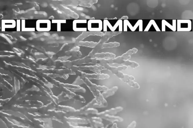 Pilot Command Font examples