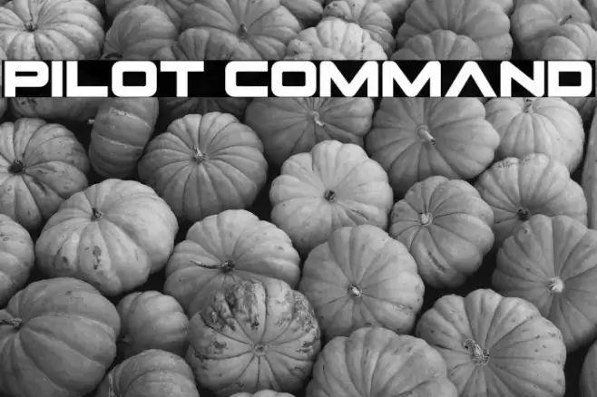 Pilot Command Font examples