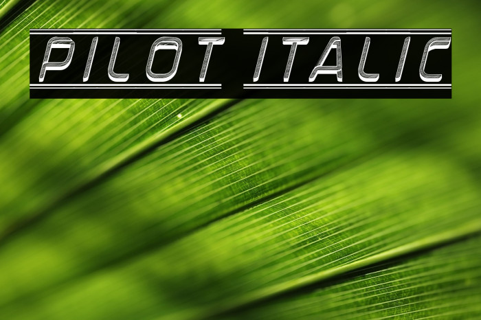 Pilot Italic Example 1