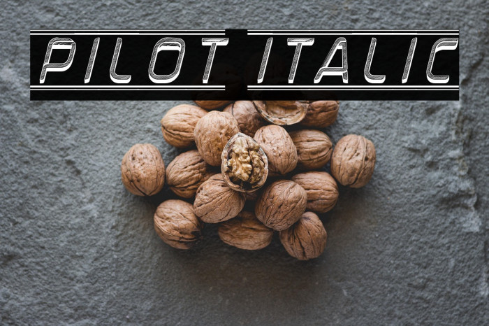 Pilot Italic Example 2