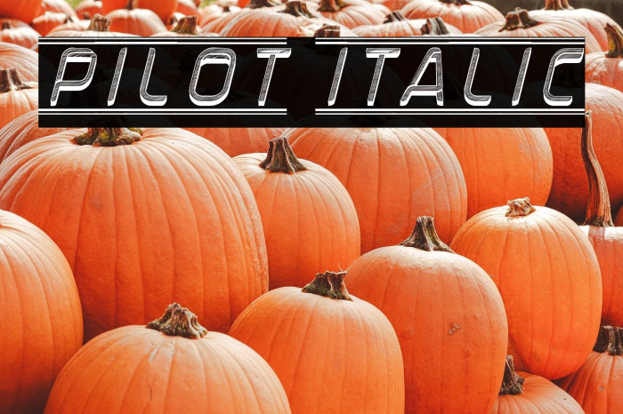 Pilot Italic Example 3