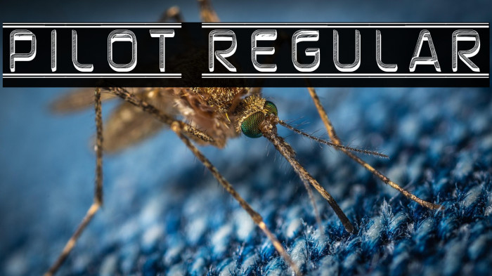 Pilot Regular Example 1