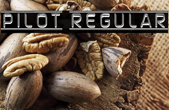 Pilot Regular Example 2