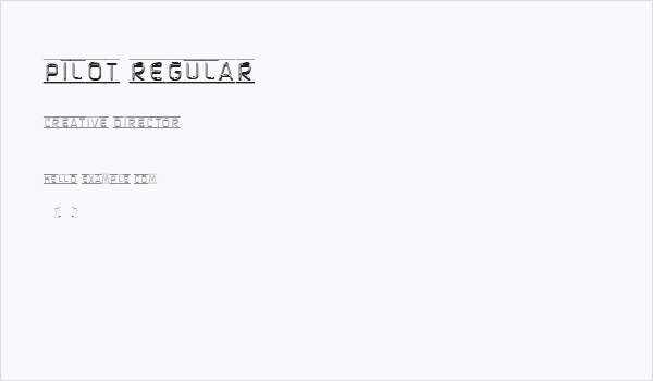 Pilot Regular Business Card