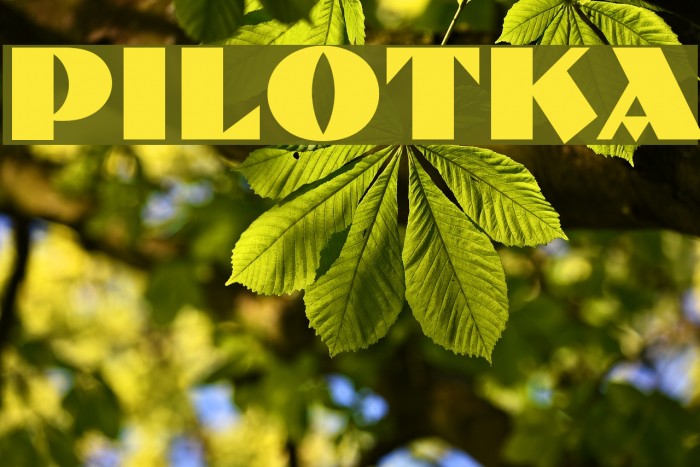 Pilotka Font examples