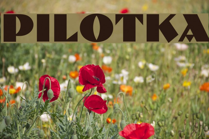 Pilotka Font examples