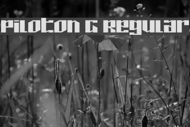 Piloton G Regular Font examples