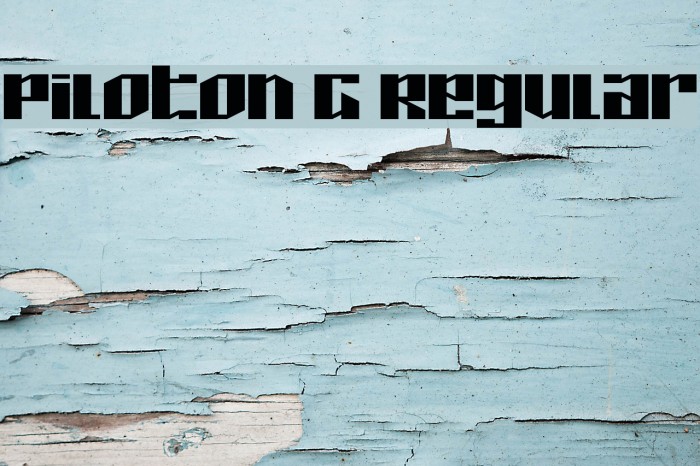 Piloton G Regular Example 3