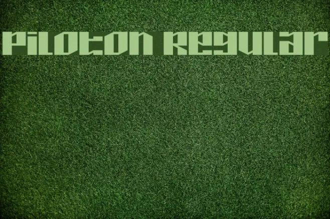 Piloton Regular Example 2