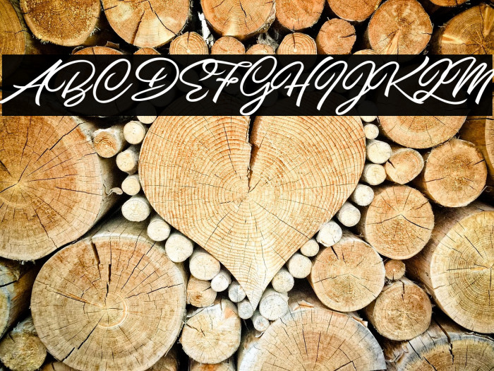 Pilsen Extra Personal Use Regular Example 1