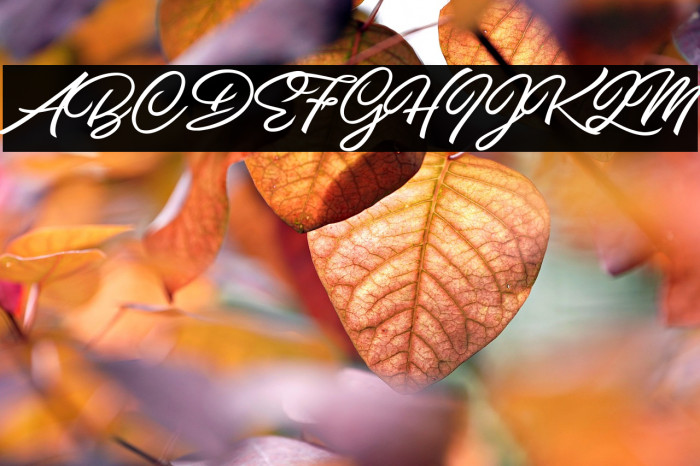 Pilsen Extra Personal Use Regular Example 2