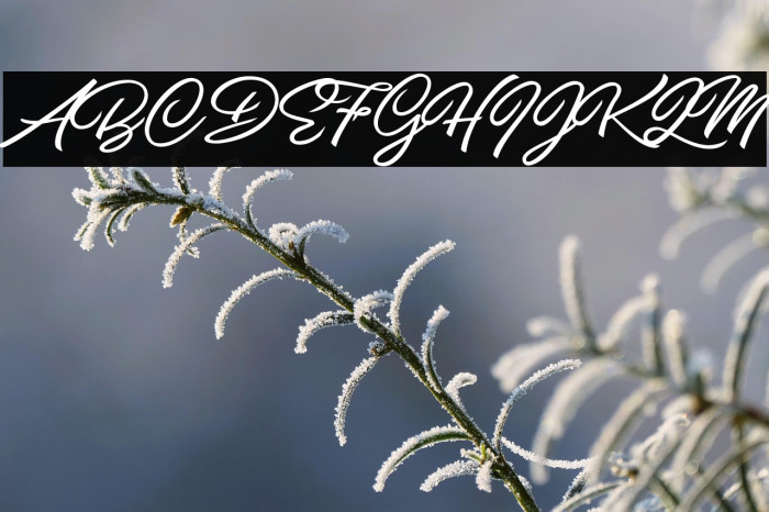 Pilsen Extra Personal Use Regular Example 3