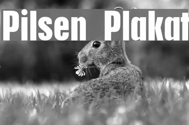 Pilsen Plakat Font examples