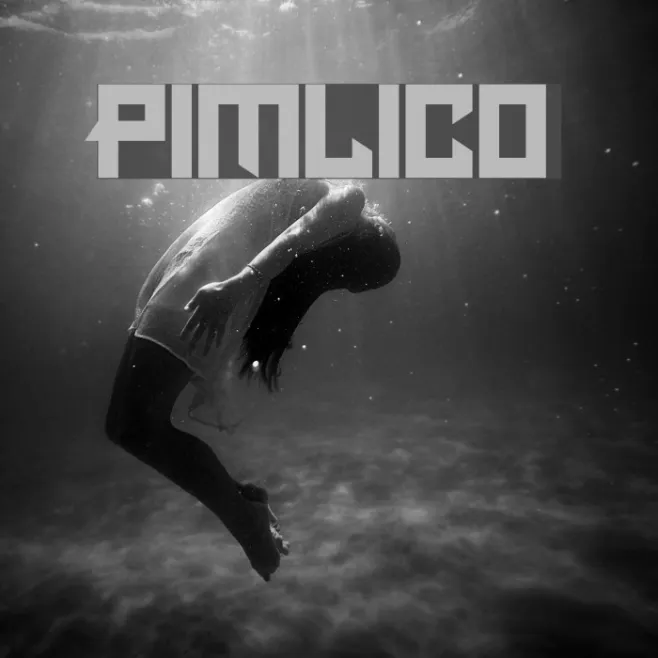 Pimlico Example 3